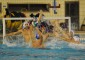 CAMPIONATO DI PALLANUOTO 2014/2015 – SERIE A1 – 8ª GIORNATA DI ANDATA  Posillipo – una […]