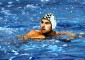 Pallanuoto serie A2 Maschile : La Promogest ospita la Roma Nuoto. – nella foto il […]