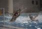 Pallanuoto, serie B in trasferta a Roma e Napoli Serie C alla quinta giornata e […]