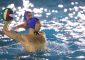 Mestrina Nuoto – Nuotatori Ravennati: 6 – 4 (1-1, 2-0, 3-2, 0-1) Mestrina Nuoto: Mainenti, […]