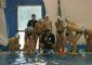 Doppio incrocio con Reggiana Nuoto e doppio successo per la Sea Sub Modena negli impegni […]