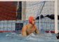 A2: LA CAMPOLONGO HOSPITAL BATTE IL NUOTO CATANIA E VEDE VICINI I PLAYOFF. Fondamentale vittoria […]