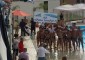 Campionato nazionale serie B maschile – sabato 4.6.2016 ore 16,00 piscina open via dei mille Latina – gara […]