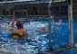 Allo Stadio del Nuoto di Bari domenica 4 dicembre i preliminari del campionato under 13 […]