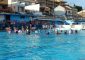 L’attesa manifestazione si svolgerà sabato 5 e domenica 6 agosto alla piscina “Vittorio Magazzù” di […]