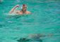 La Roma Nuoto sfiderà sabato alle ore 16.30 nella Piscina dei Mosaici al Foro Italico il Telimar Palermo nella gara valevole per la decima giornata […]