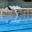 CAMPIONATO DI SERIE B – Girone 2 – 13a giornata Pallanuoto Tolentino – Rapallo Nuoto […]