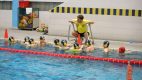 JUNIORES, Frosinone Pallanuoto – Swimming Club 8-8 (1-4, 1-1, 4-2, 2-1) Arriva un buon pareggio, […]