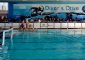 E ORA TESTA AL PROSSIMO WEEKEND DI FUOCO Lo scorso sabato 23 novembre, nella piscina [&hellip;]