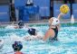 L’Ekipe Orizzonte conclude l’avventura nella Champions League di quest’anno conquistando un successo nell’ultima giornata del [&hellip;]
