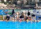 Si interrompe nel 15°  turno del campionato di Serie A2 maschile la striscia positiva dell’AGN [&hellip;]