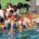 Sabato 10 ottobre, ore 17:15, la S.S. Lazio Nuoto ospita il Bogliasco 1951 per la [&hellip;]