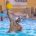 Il TeLiMar Città di Palermo esce a testa alta dalla piscina “Carmen Longo” di Bologna [&hellip;]