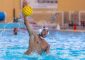 Il TeLiMar Città di Palermo esce a testa alta dalla piscina “Carmen Longo” di Bologna [&hellip;]